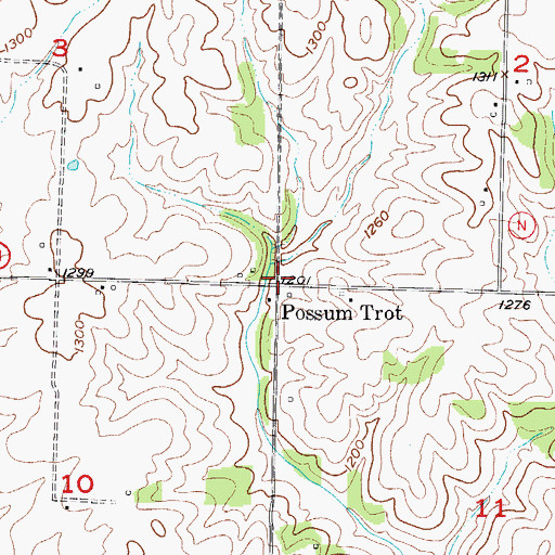 Topographic Map of Possum Trot, MO