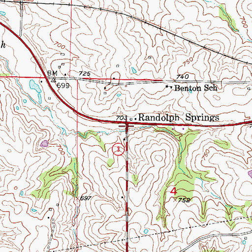 Topographic Map of Randolph Springs, MO