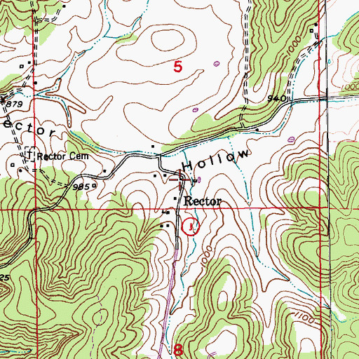 Topographic Map of Rector, MO