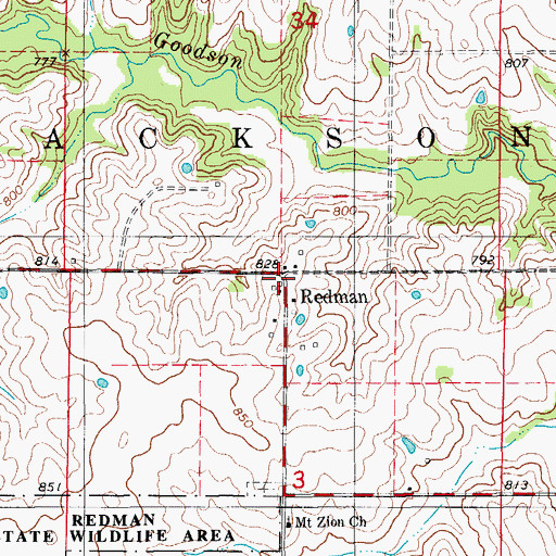 Topographic Map of Redman, MO