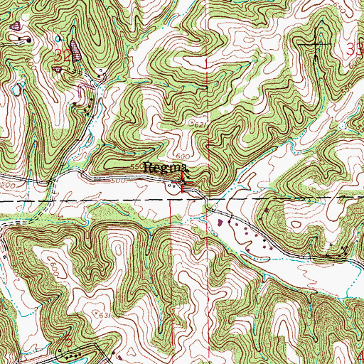 Topographic Map of Regina, MO