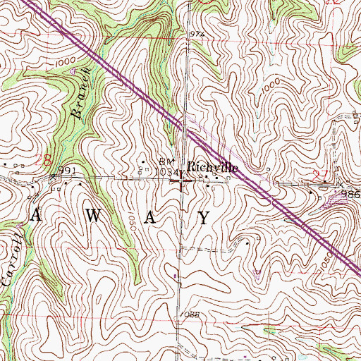 Topographic Map of Richville, MO