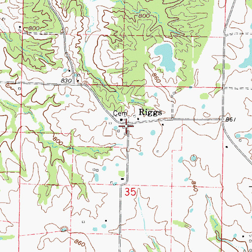 Topographic Map of Riggs, MO