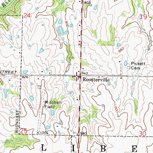 Topographic Map of Roosterville, MO