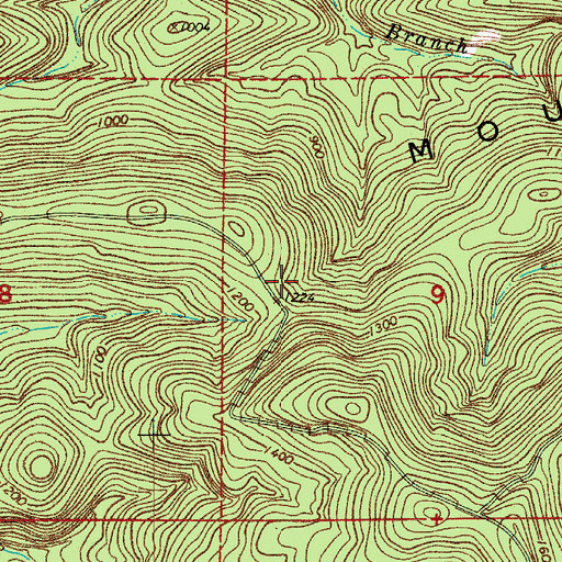 Topographic Map of White Oak Mountain, AR