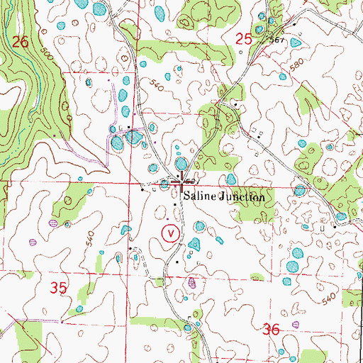 Topographic Map of Saline Junction, MO