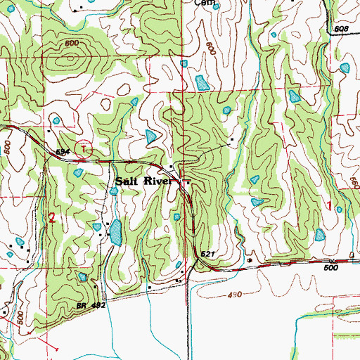 Topographic Map of Salt River, MO