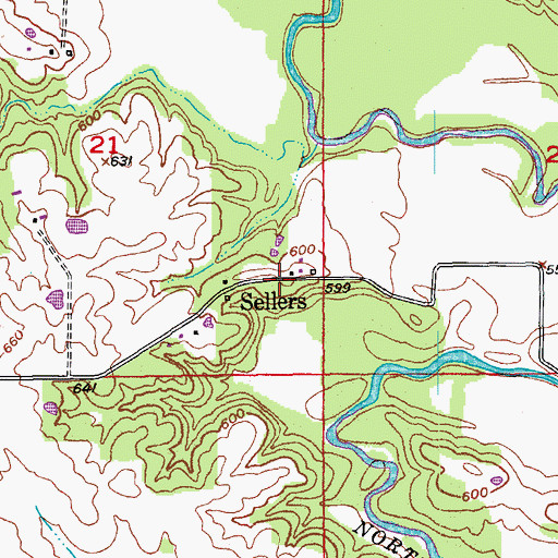 Topographic Map of Sellers, MO