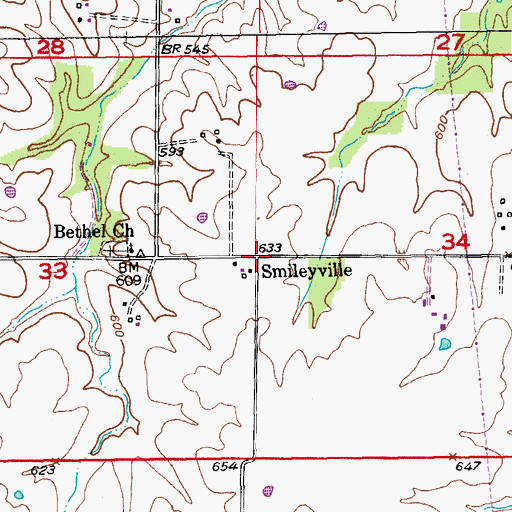 Topographic Map of Smileyville, MO
