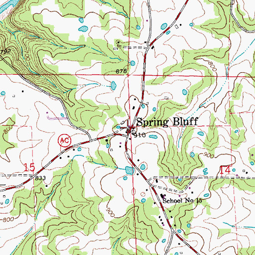 Topographic Map of Spring Bluff, MO