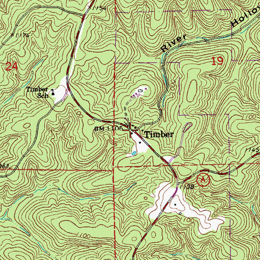 Topographic Map of Timber, MO