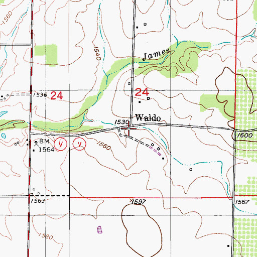 Topographic Map of Waldo, MO