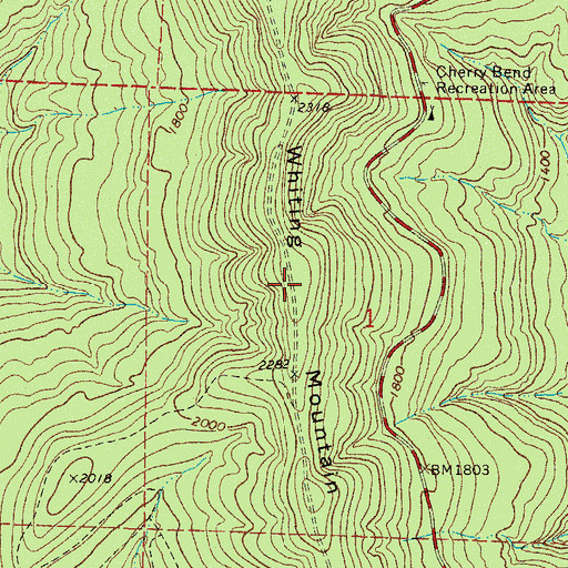 Topographic Map of Whiting Mountain, AR