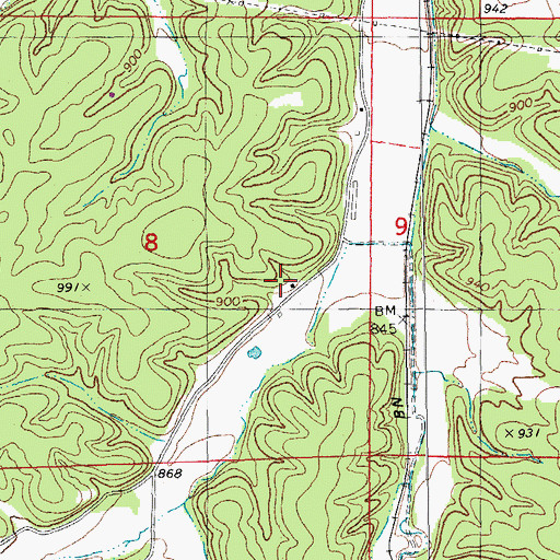Topographic Map of Pleasant Valley School, MO