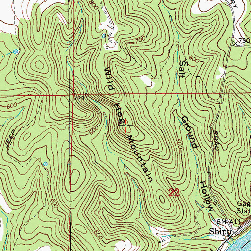 Topographic Map of Wild Hog Mountain, AR