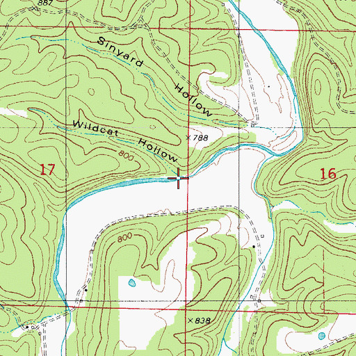 Topographic Map of Wildcat Hollow, AR