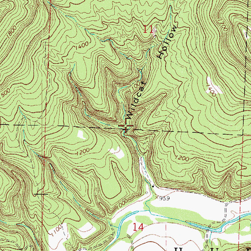 Topographic Map of Wildcat Hollow, AR