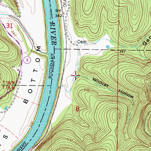 Topographic Map of Wildcat Hollow, AR