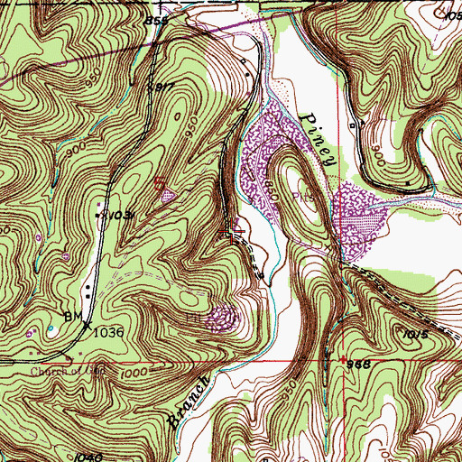 Topographic Map of Yancy School (historical), MO
