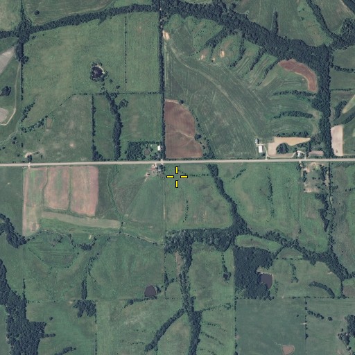 Aerial/Satellite Image of Terry School (historical), MO