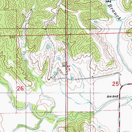 Topographic Map of Wood School, MO