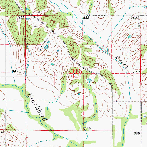 Topographic Map of Haynes School (historical), MO