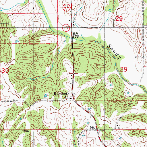 Topographic Map of Pickering School, MO