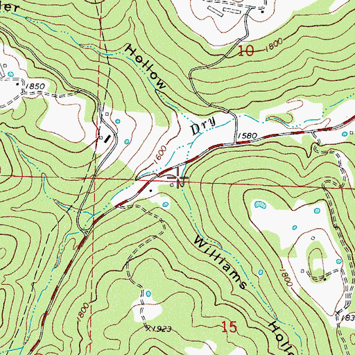 Topographic Map of Williams Hollow, AR