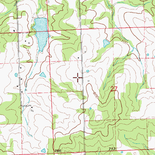 Topographic Map of Diamond School, MO