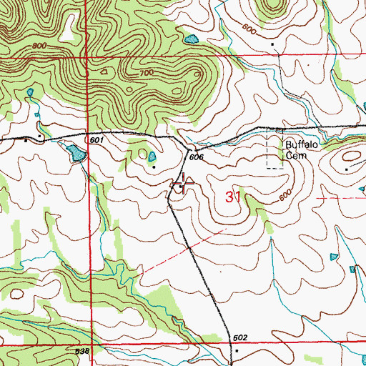 Topographic Map of Buffalo School (historical), MO