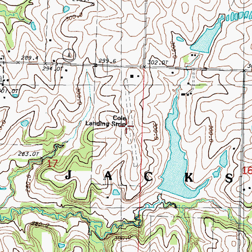 Topographic Map of Cole Landing Strip (historical), MO