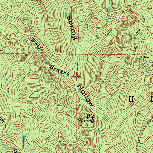 Topographic Map of Wolf Branch, AR