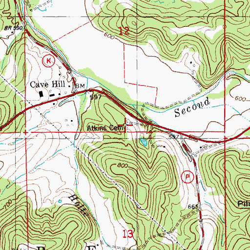 Topographic Map of Atkins Cemetery, MO