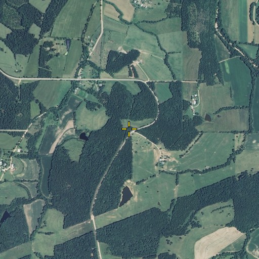 Aerial/Satellite Image of Branson Cemetery, MO