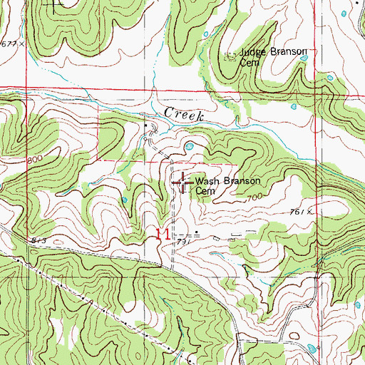 Topographic Map of Wash Branson Cemetery, MO