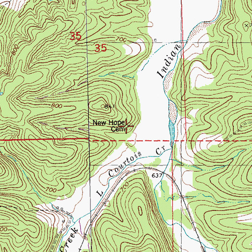 Topographic Map of New Hope Cemetery, MO