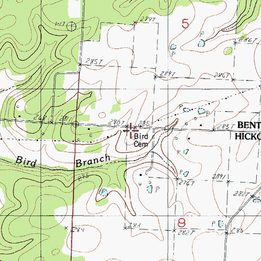 Topographic Map of Bird Cemetery, MO
