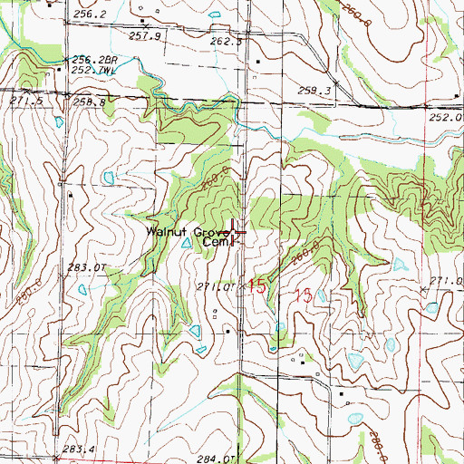 Topographic Map of Walnut Grove Cemetery, MO