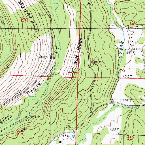 Topographic Map of Wolf Ridge, AR