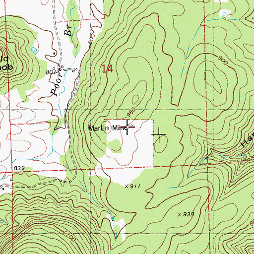 Topographic Map of Martin Mine, MO