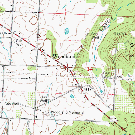 Topographic Map of Woodland, AR