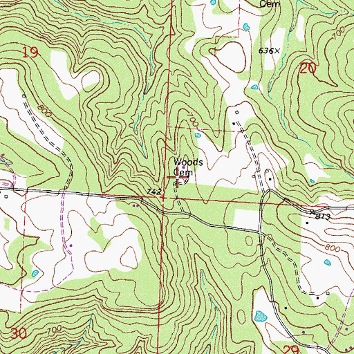 Topographic Map of Woods Cemetery, AR