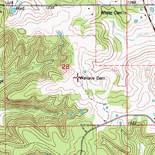 Topographic Map of Wallace Cemetery, MO