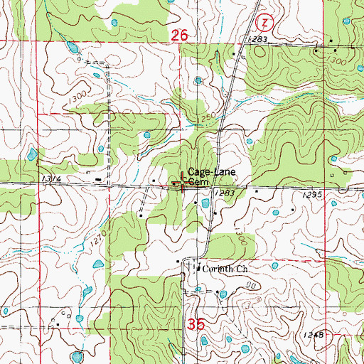 Topographic Map of Cage Cemetery, MO