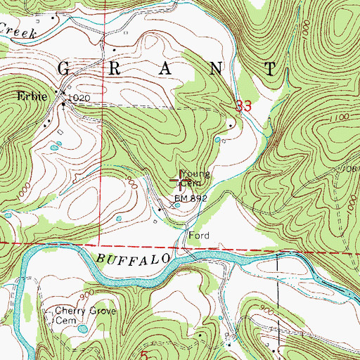 Topographic Map of Young Cemetery, AR