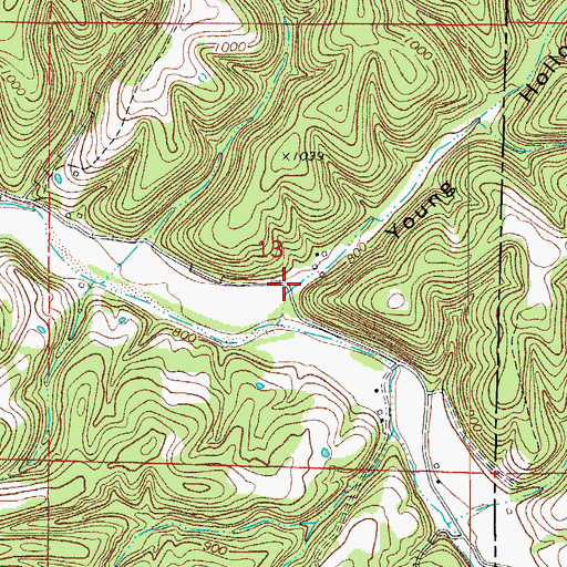 Topographic Map of Young Hollow, AR