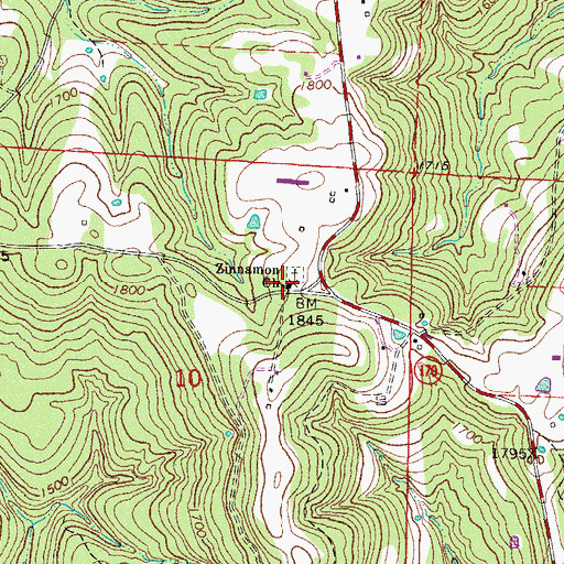 Topographic Map of Zinnamon Church, AR
