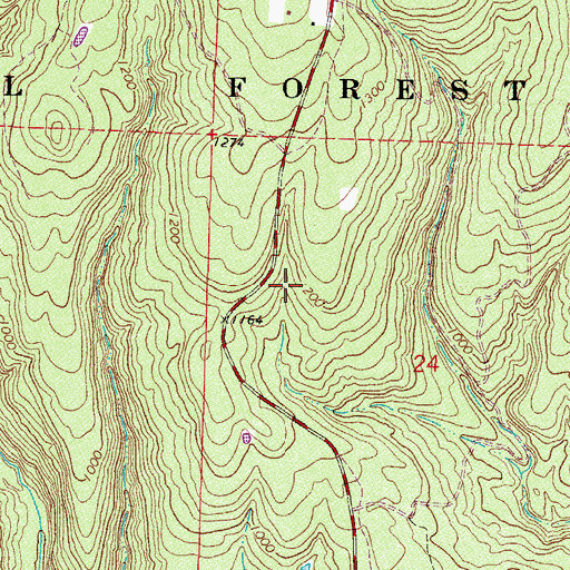 Topographic Map of Boney Mountain, AR
