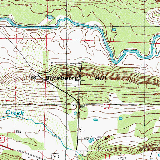 Topographic Map of Blueberry Hill, AR