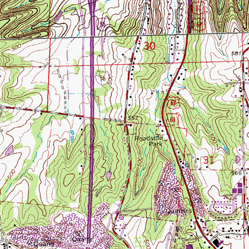 Topographic Map of McNutt School, MO